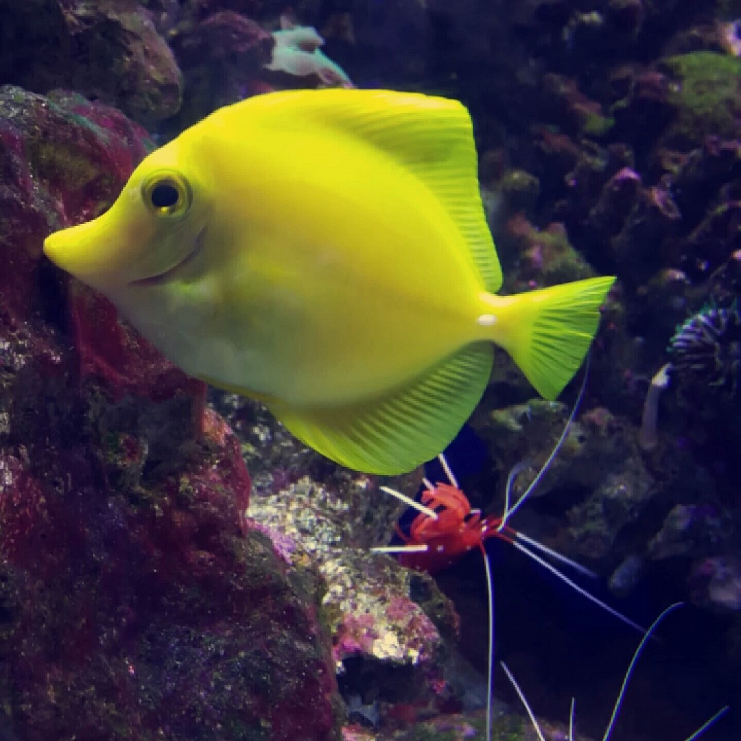 😆😆😆 @ Dubai Aquarium & Underwater Zoo - UAE