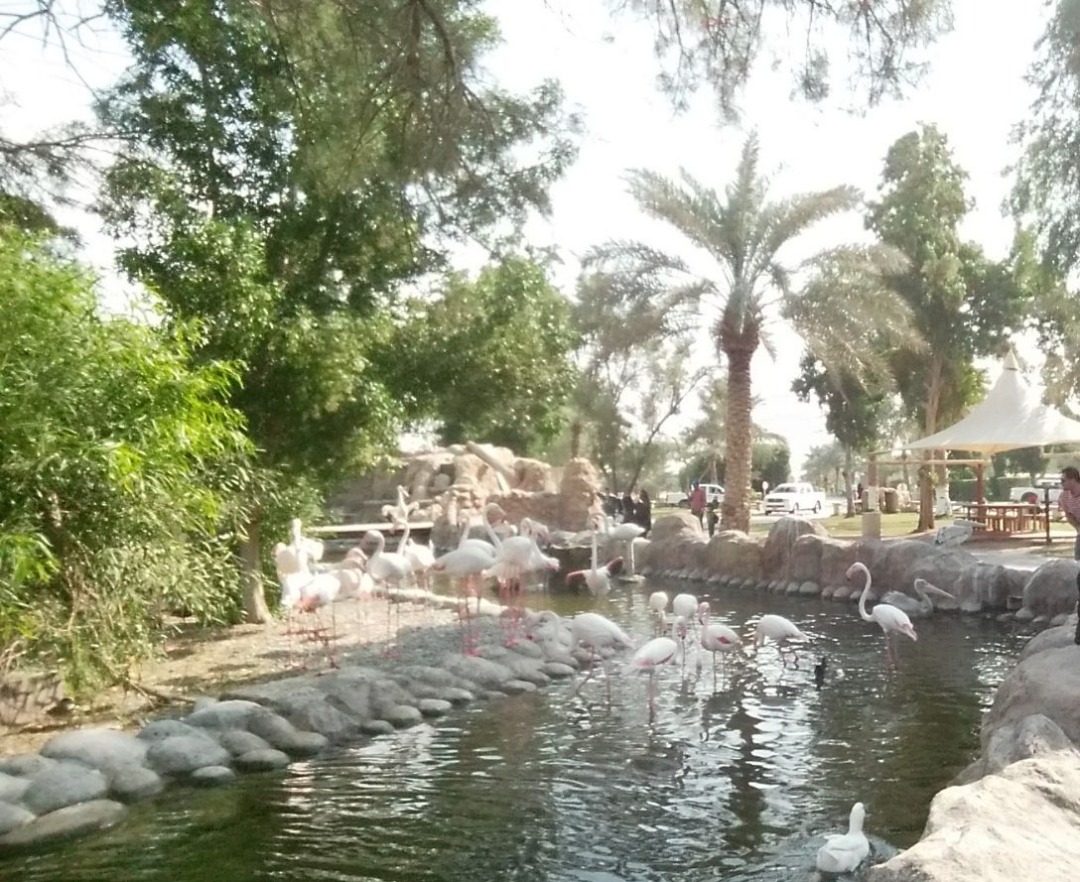 Lovely pond and landscaping @ Al Areen Wildlife Park & Reserve - Bahrain