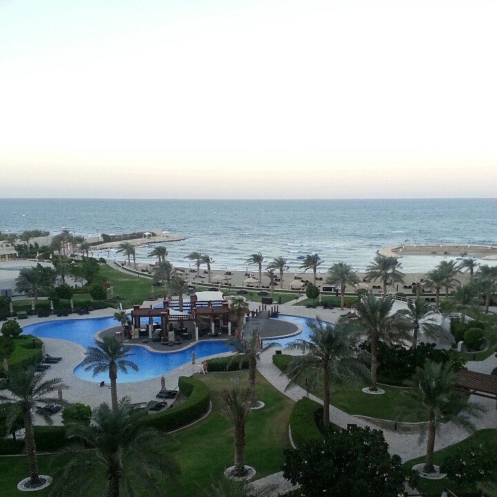 good morning. .live from Sofitel @ Hotel Sofitel Thalassa Sea & Spa - Bahrain