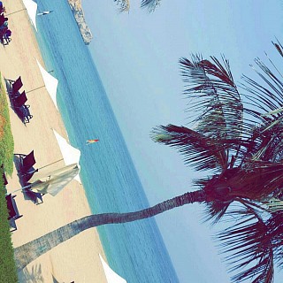 Al waha beach