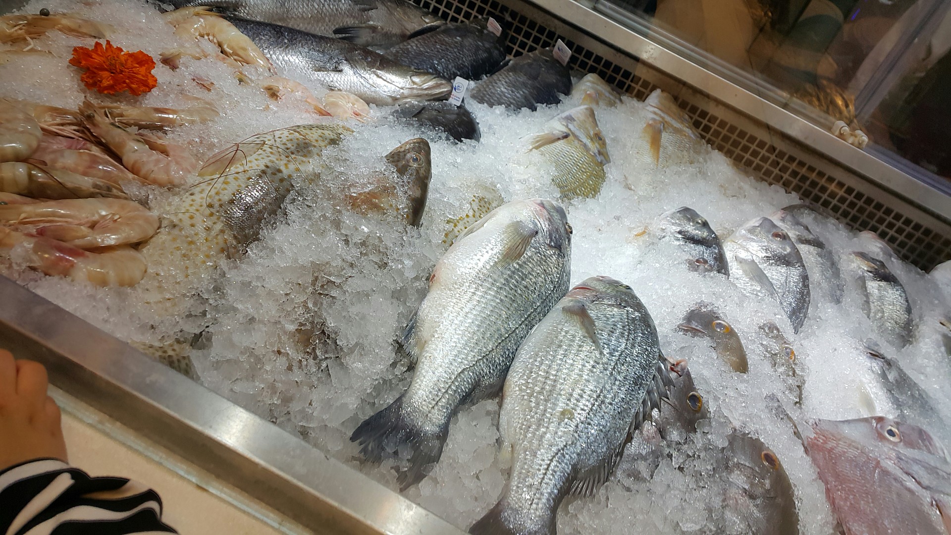 Fresh local seafood 👍 @ Banoosh Al Arab - Bahrain
