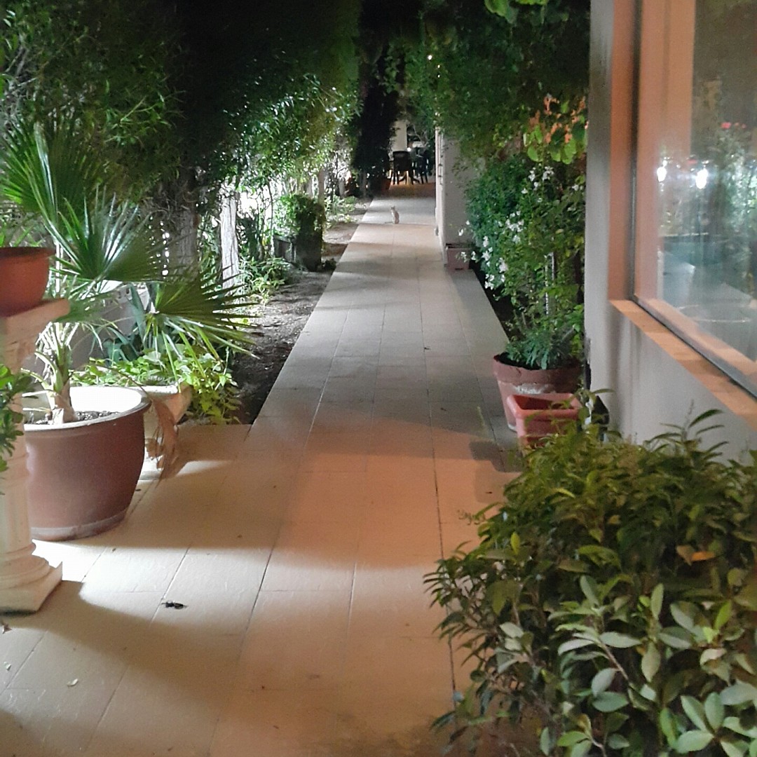 Outdoor🍀 @ كابتشينو كافية - البحرين